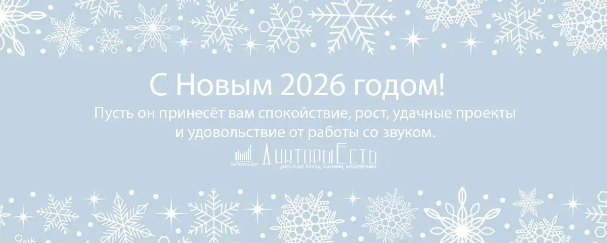 Новый 2026 год с Diktorov.net