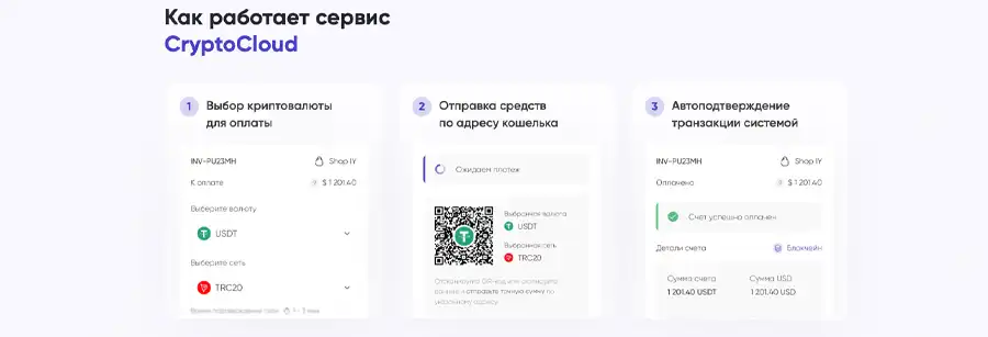 CryptoCloud Diktorov.net